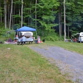 Review photo of Lyman Run State Park Campground by Lou and Michelle J., July 24, 2016