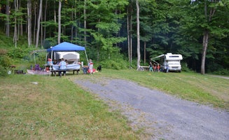 Camper-submitted photo from Lyman Run State Park