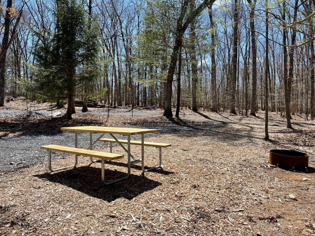 Camper-submitted photo at Lakewood Park Campground near Tamaqua, PA