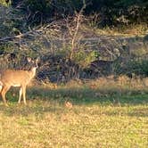 Review photo of Inks Lake State Park Campground by maria , December 8, 2021