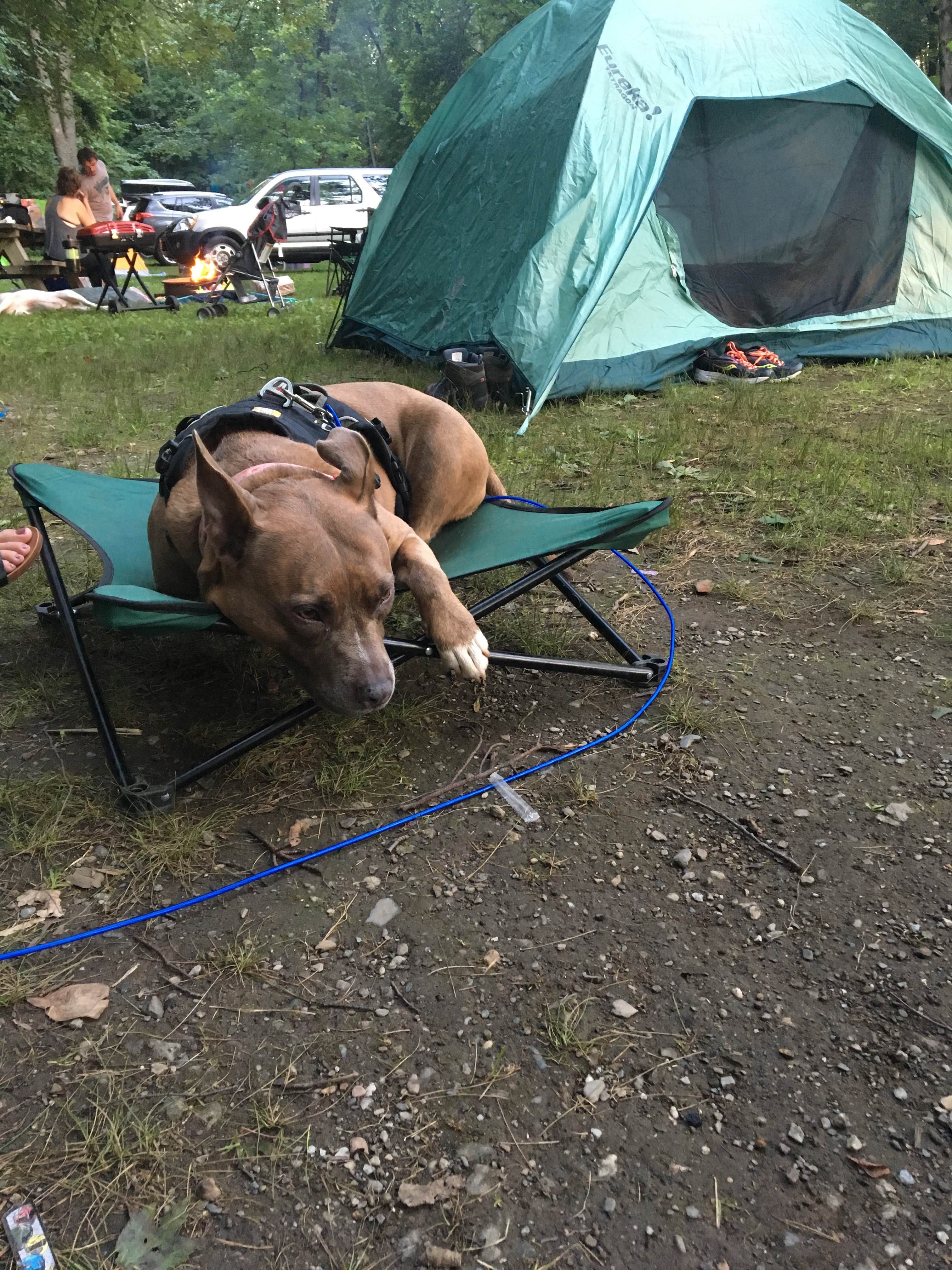 Becky G.'s photo at Copake Falls Area — Taconic State Park near Ancramdale, NY