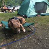 Review photo of Copake Falls Area — Taconic State Park by Becky G., July 8, 2018