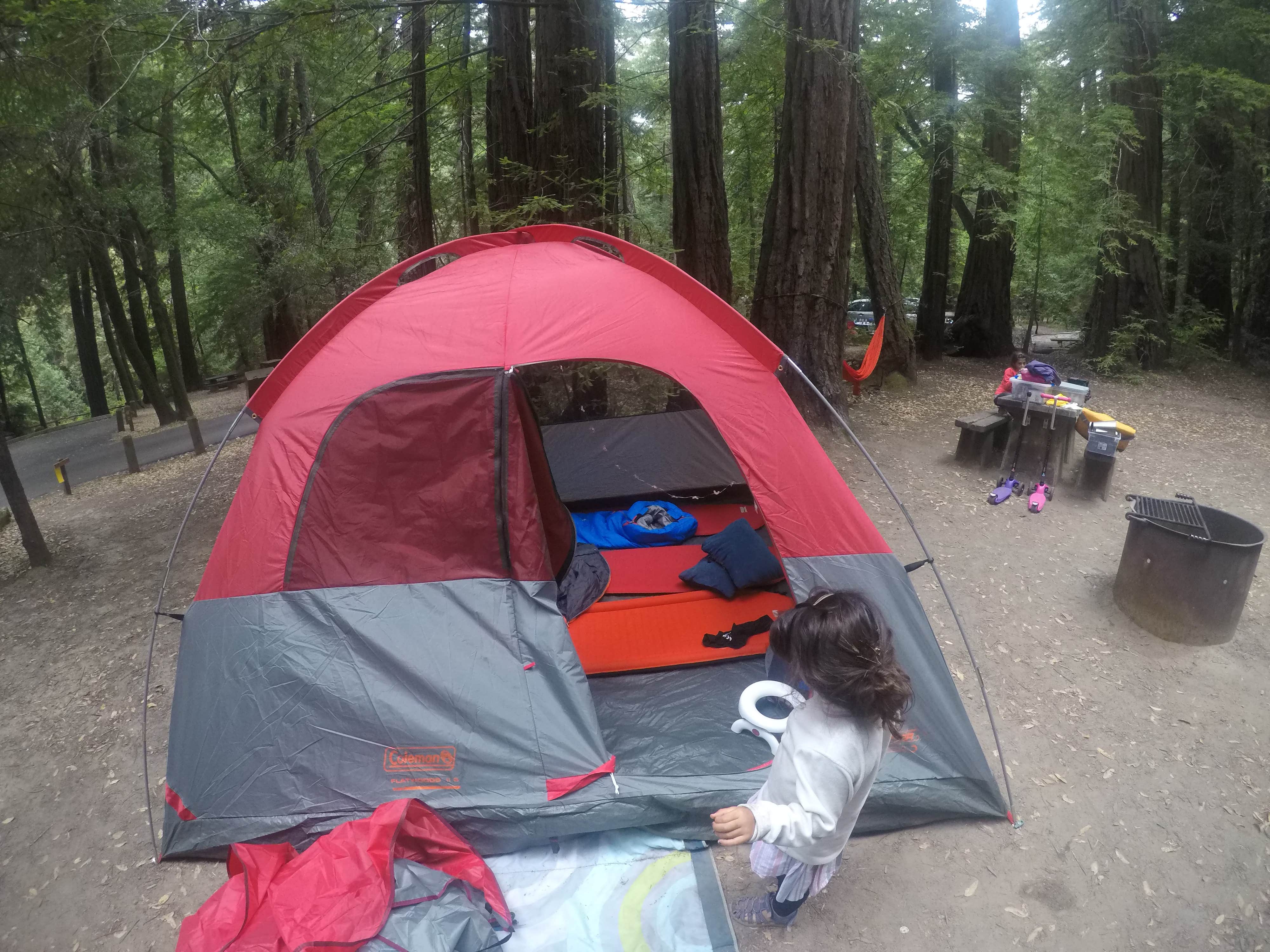 Adventure M.'s photo at Elk Prairie Campground — Prairie Creek Redwoods State Park near Orick, CA
