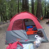 Review photo of Elk Prairie Campground — Prairie Creek Redwoods State Park by Adventure M., July 8, 2018
