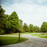 Review photo of Potato Creek State Park Campground by Meg  S., June 16, 2015