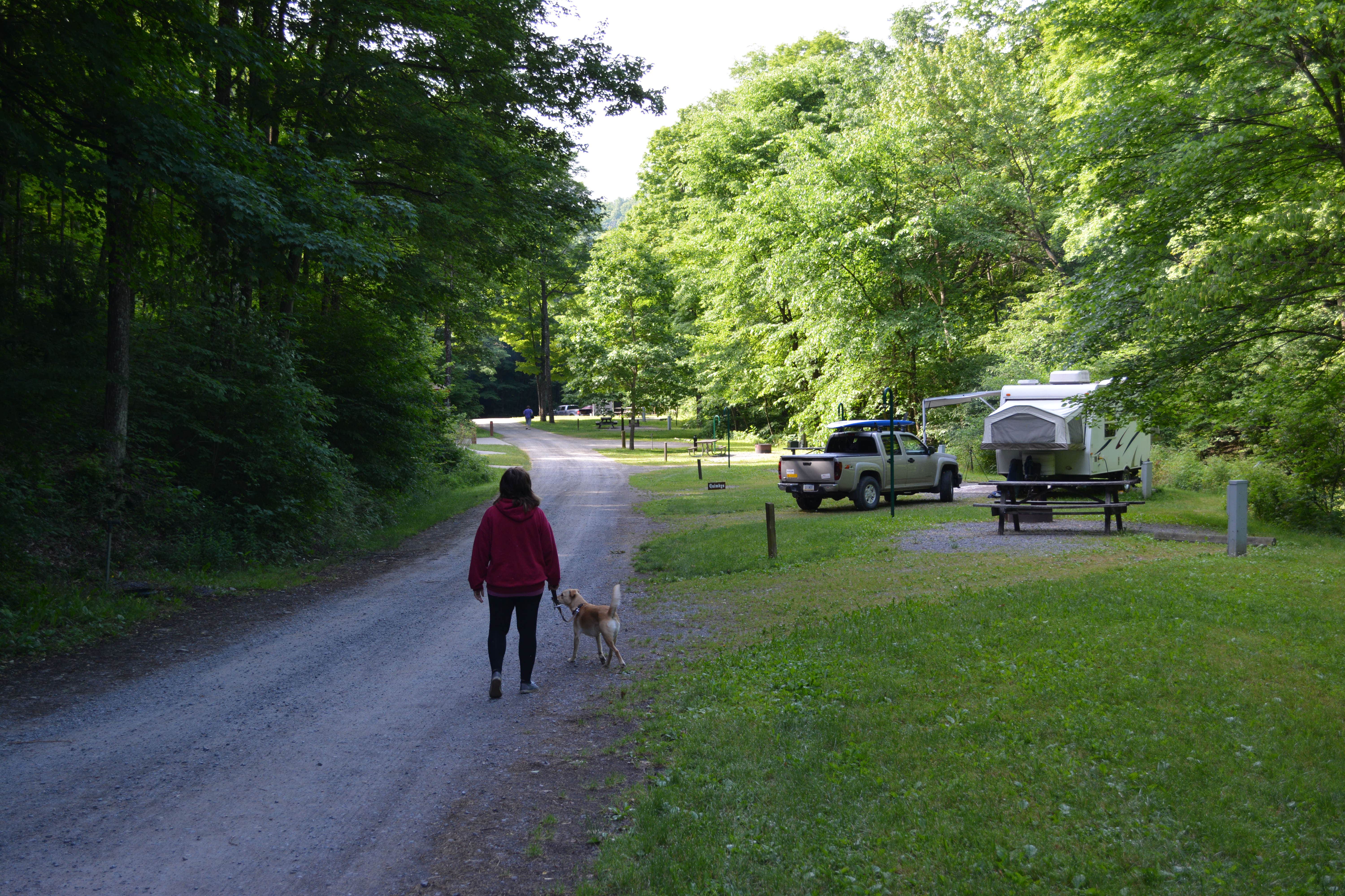 Camper submitted image from Lyman Run State Park Campground - 3