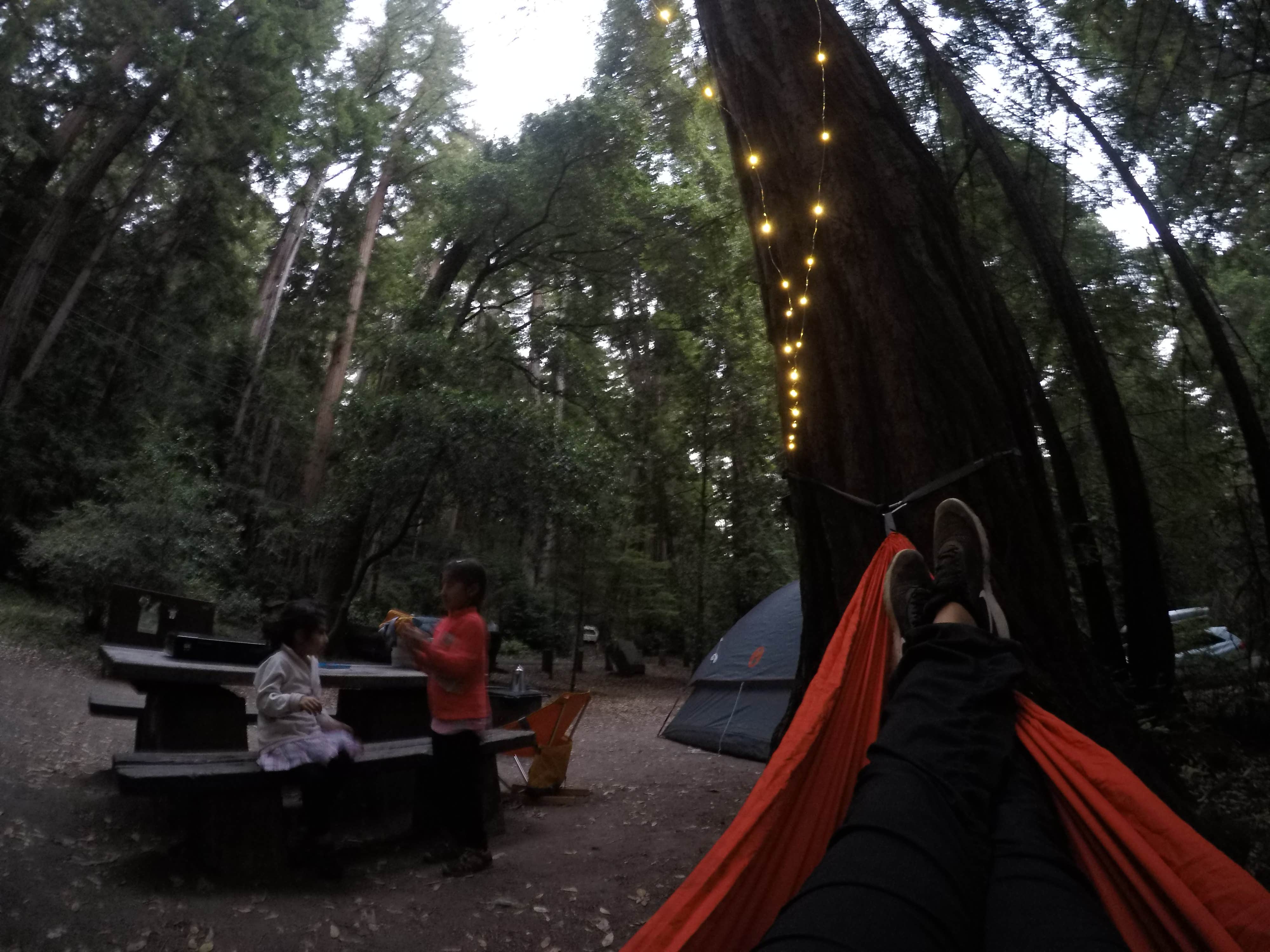 Adventure M.'s photo at Elk Prairie Campground — Prairie Creek Redwoods State Park near Klamath, CA