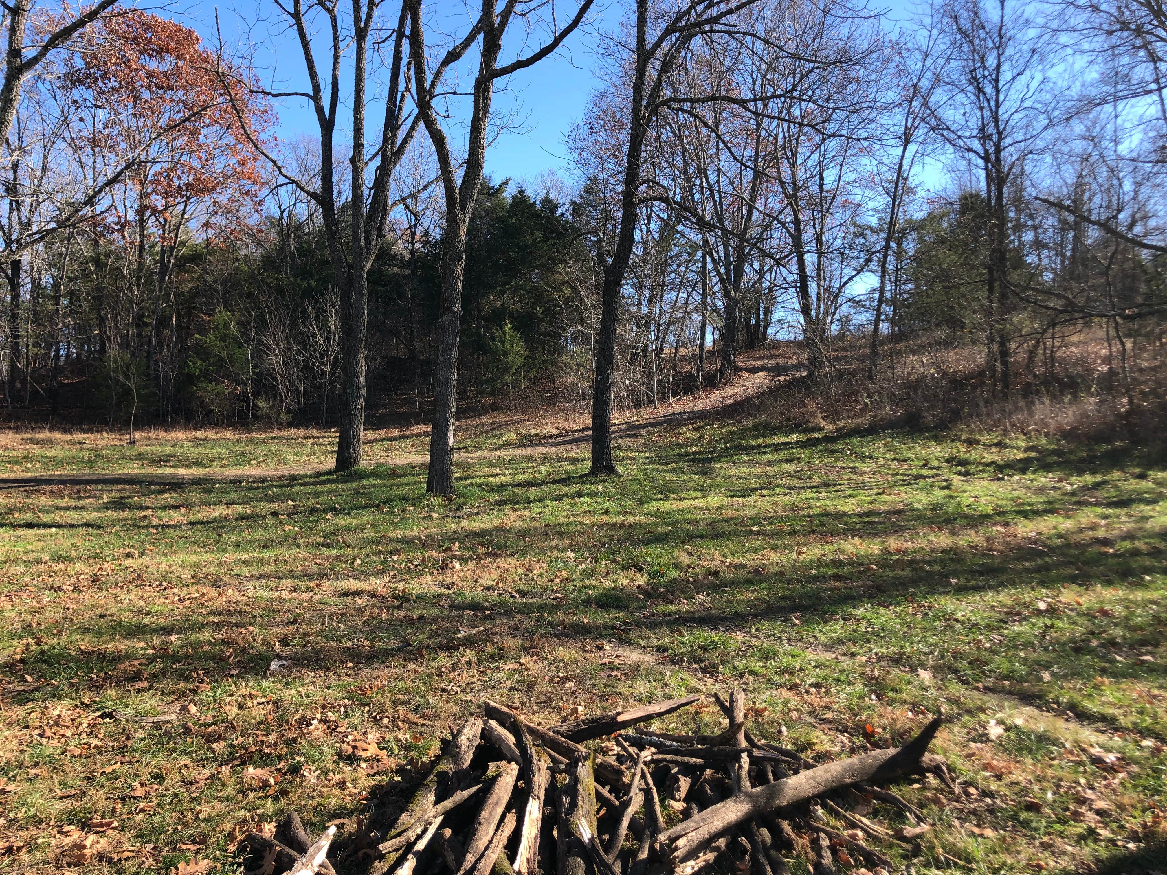 Camper submitted image from Mark Twain National Forest Glad Top Trail Willie Lee Wolf Junction - 1