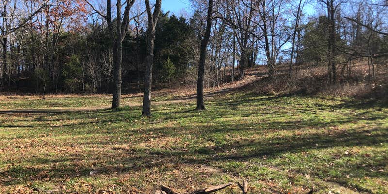 Camper submitted image from Mark Twain National Forest Glad Top Trail Willie Lee Wolf Junction