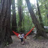 Review photo of Elk Prairie Campground — Prairie Creek Redwoods State Park by Adventure M., July 8, 2018