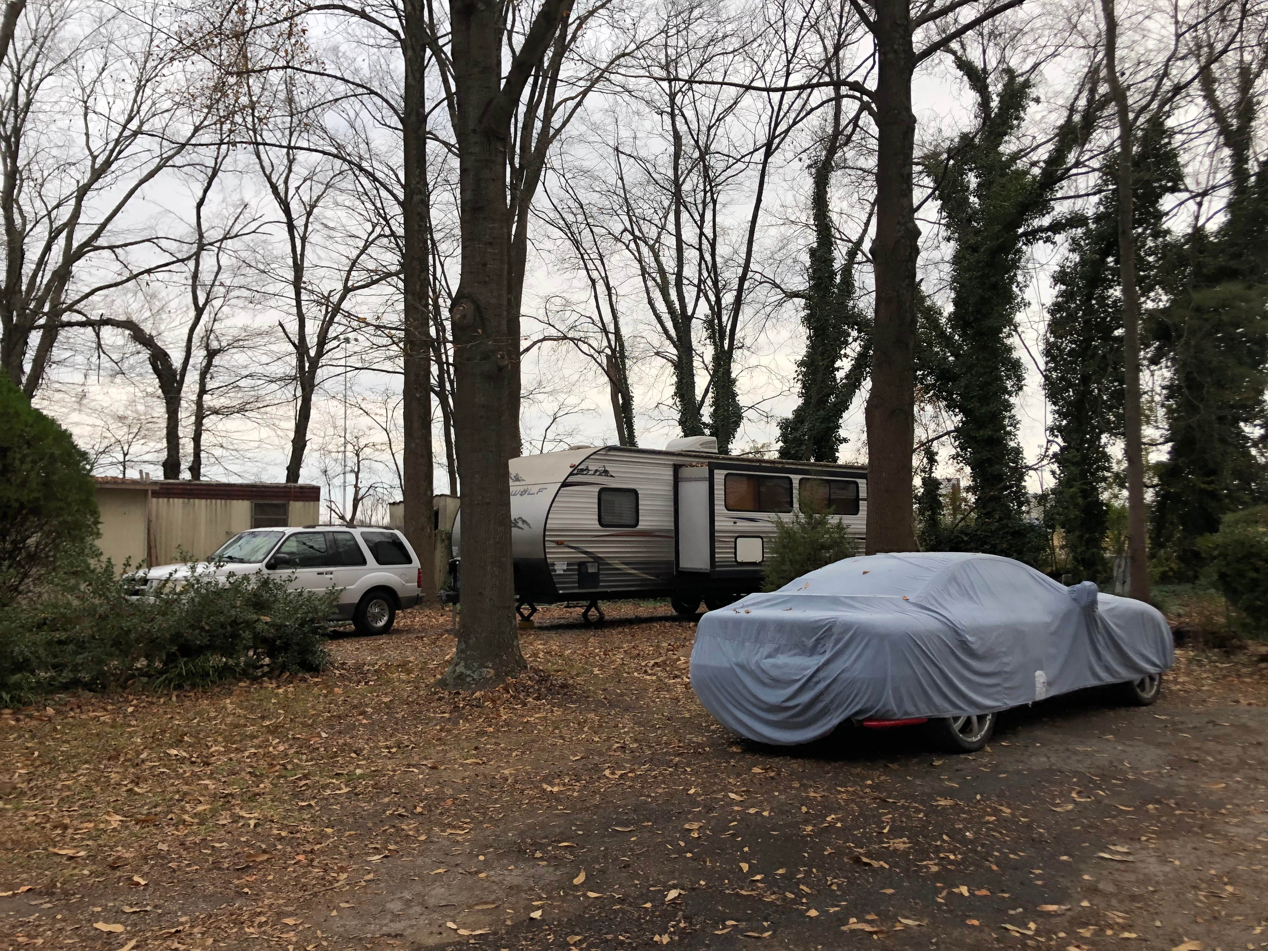 Camper submitted image from Jackson RV Park - 2