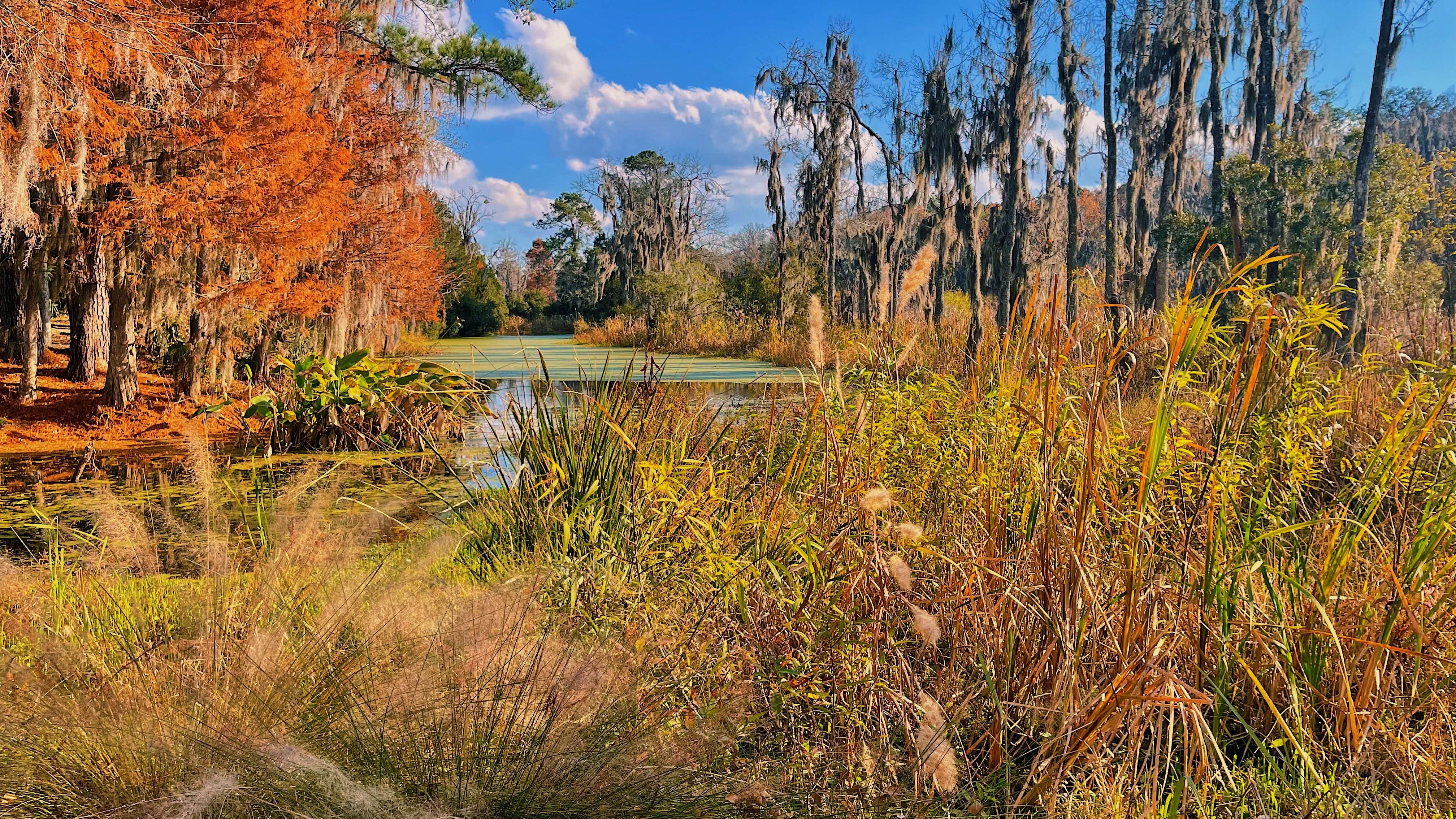 Camper-submitted photo at Colleton State Park Campground near Orangeburg, SC
