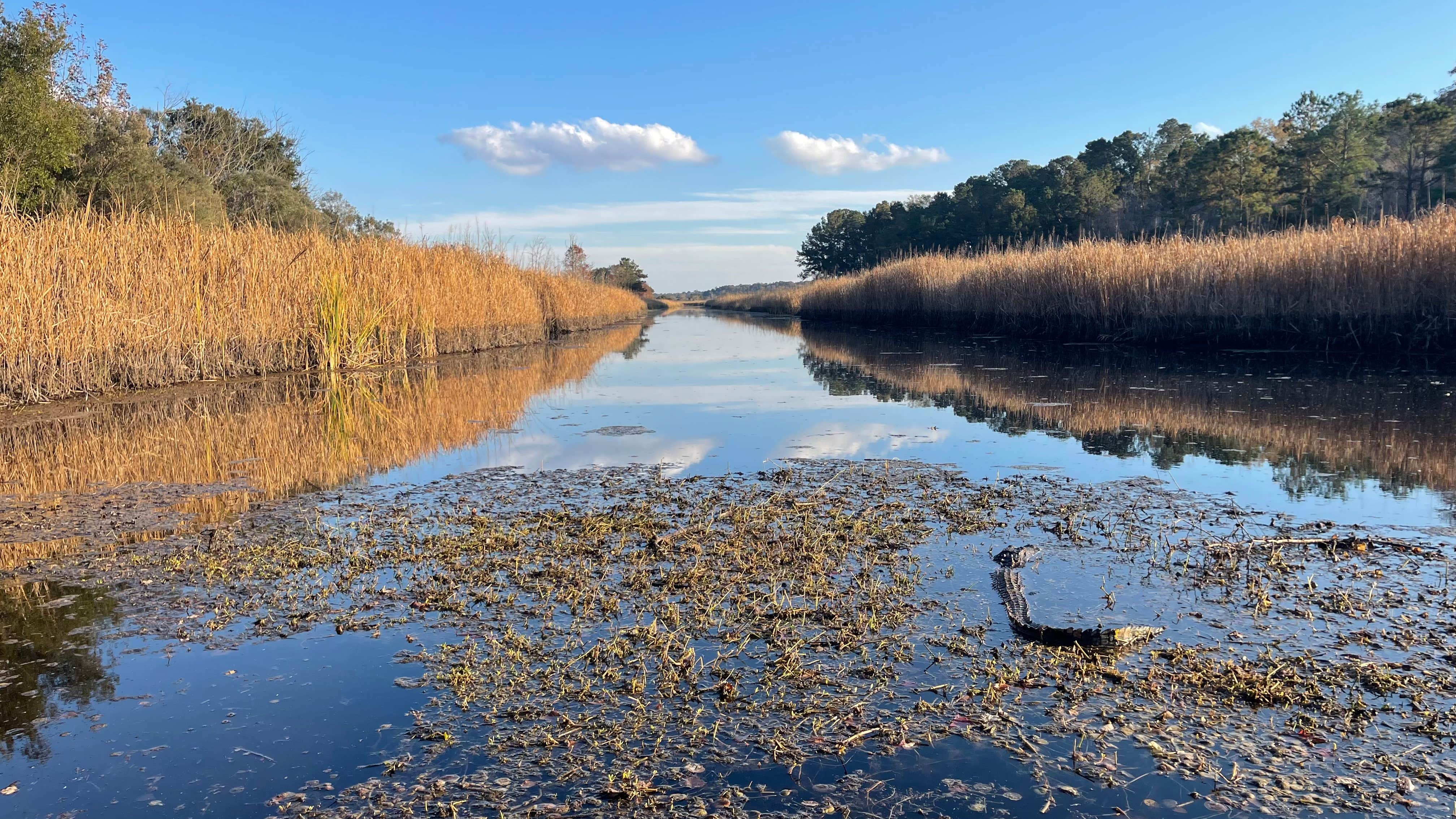 Camper-submitted photo at Colleton State Park Campground near Orangeburg, SC