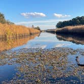 Review photo of Colleton State Park Campground by Nicholas S., December 9, 2021