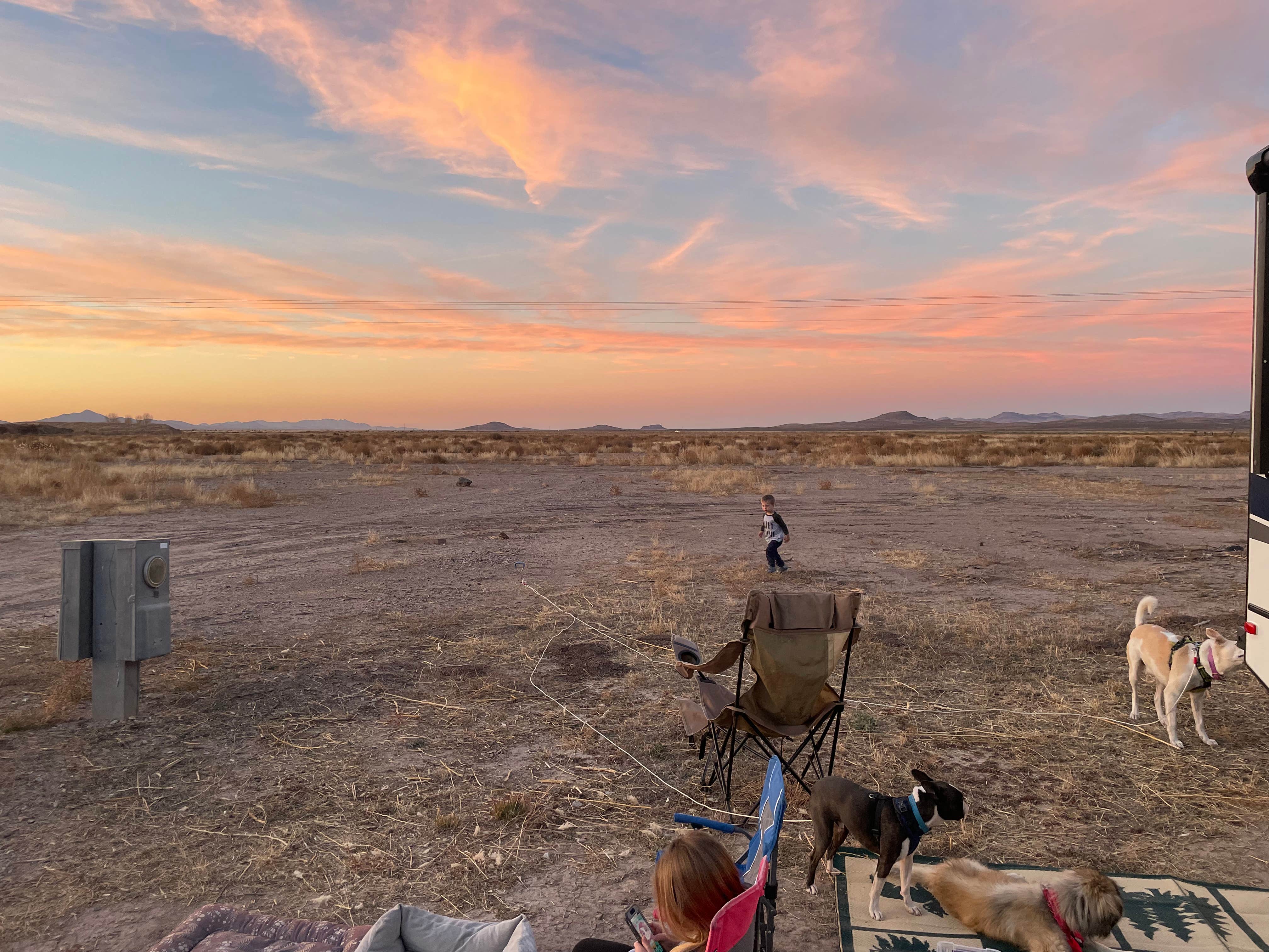 Christopher A.'s photo of camping with pets at Smugglers' Roost near Chiricahua, AZ