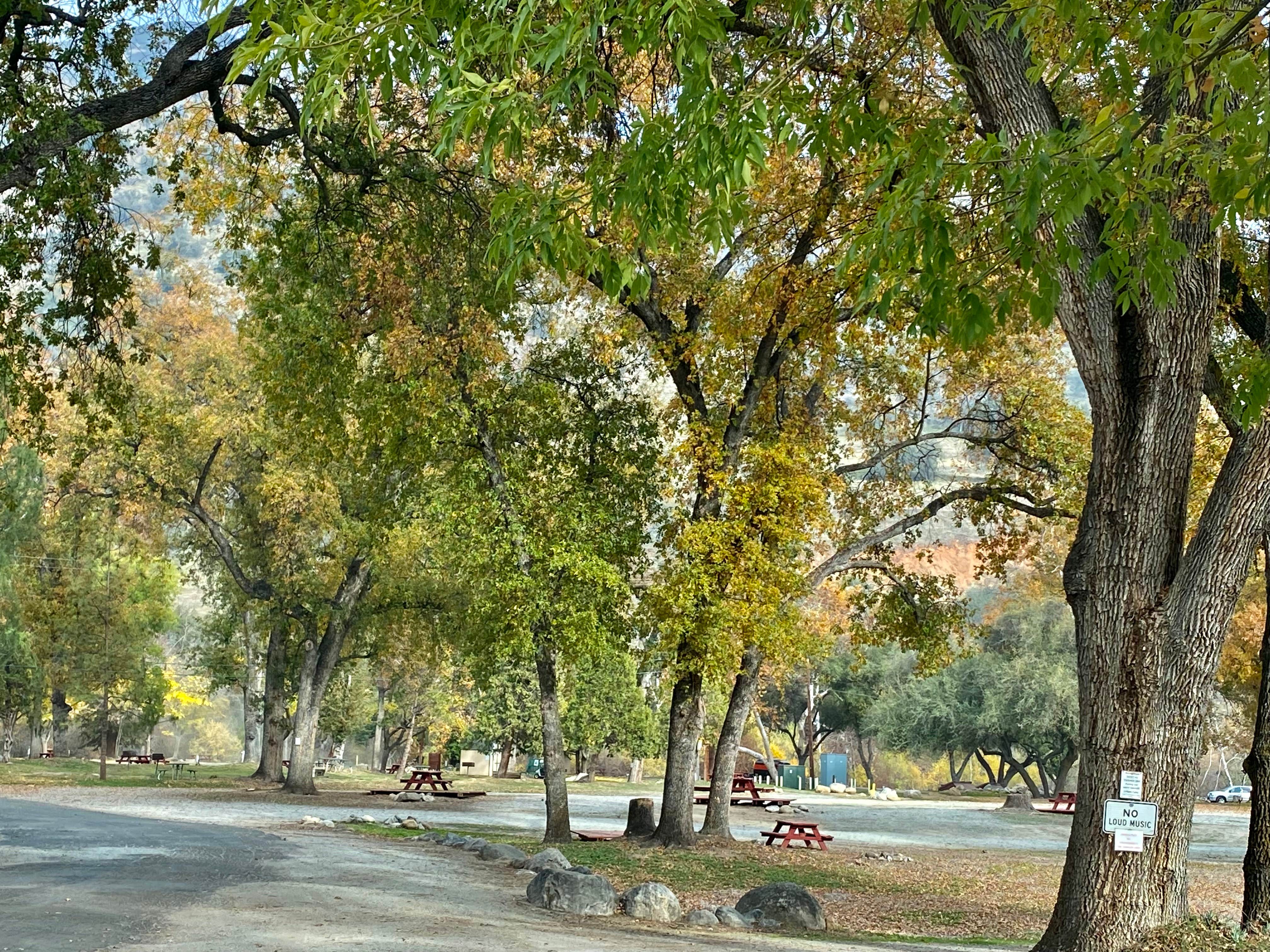 Camper-submitted photo at Sequoia RV Ranch near Kaweah, CA