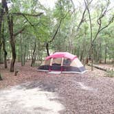 Review photo of Mike Roess Gold Head Branch State Park Campground & Cabins by Alyssa M., July 8, 2018