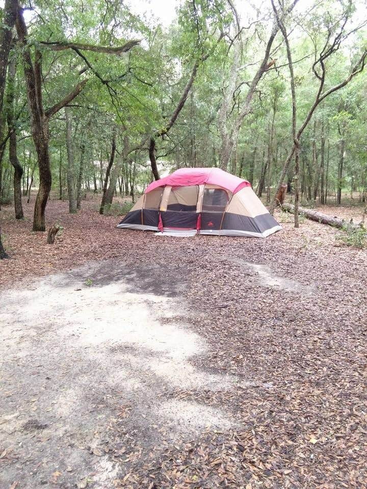 Camper submitted image from Mike Roess Gold Head Branch State Park Campground & Cabins - 4