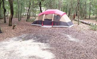 Alyssa M.'s photo at Mike Roess Gold Head Branch State Park Campground & Cabins near Interlachen, FL