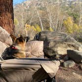 Review photo of Sequoia RV Ranch by Debbie M., December 9, 2021