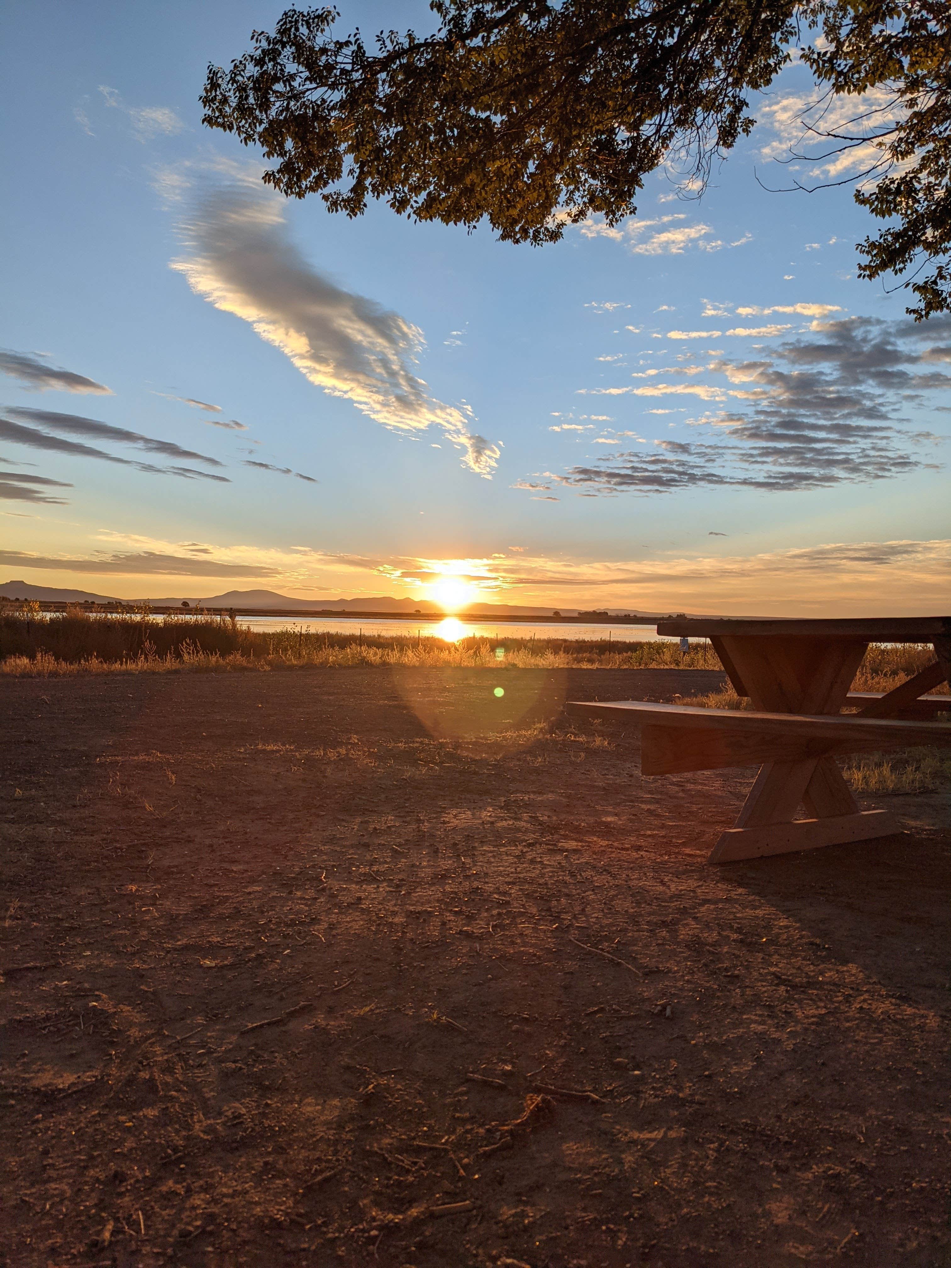 Camper submitted image from Lake 13-Maxwell National Wildlife Refuge - 5
