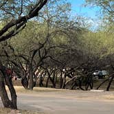Review photo of Patagonia Lake State Park Campground by judy E., December 9, 2021