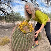 Review photo of Catalina State Park Campground by judy E., December 9, 2021