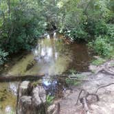 Review photo of Mike Roess Gold Head Branch State Park Campground & Cabins by Alyssa M., July 8, 2018