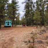 Review photo of Forest Service Road 302 Dispersed by Connor N., December 9, 2021