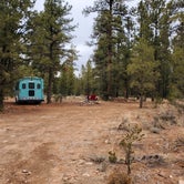 Review photo of Forest Service Road 302 Dispersed by Connor N., December 9, 2021