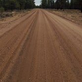 Review photo of Forest Service Road 302 Dispersed by Connor N., December 9, 2021