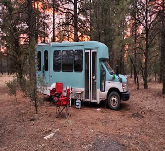 Camper-submitted photo from Forest Service Road 302 Dispersed