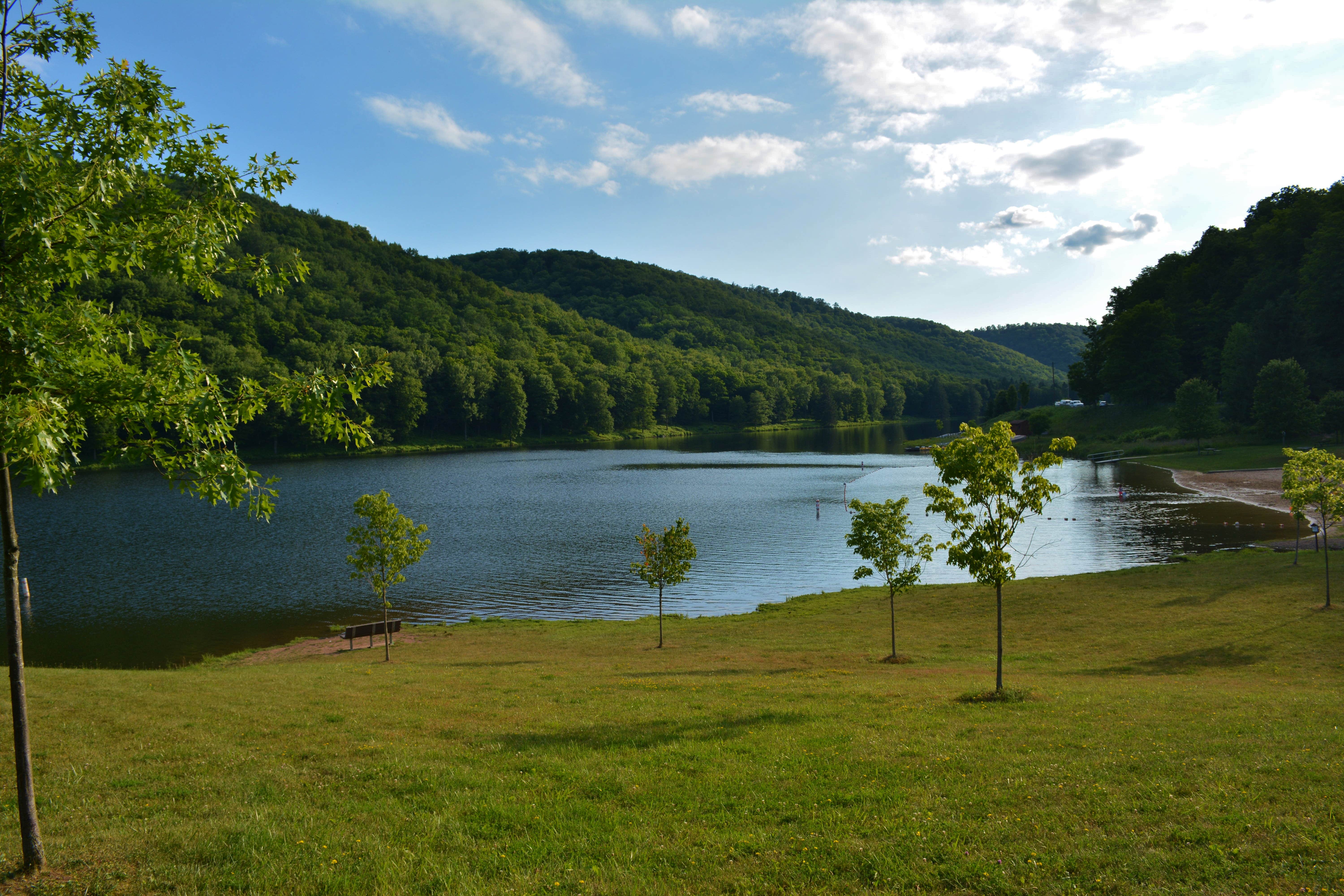 Camper submitted image from Lyman Run State Park Campground - 2