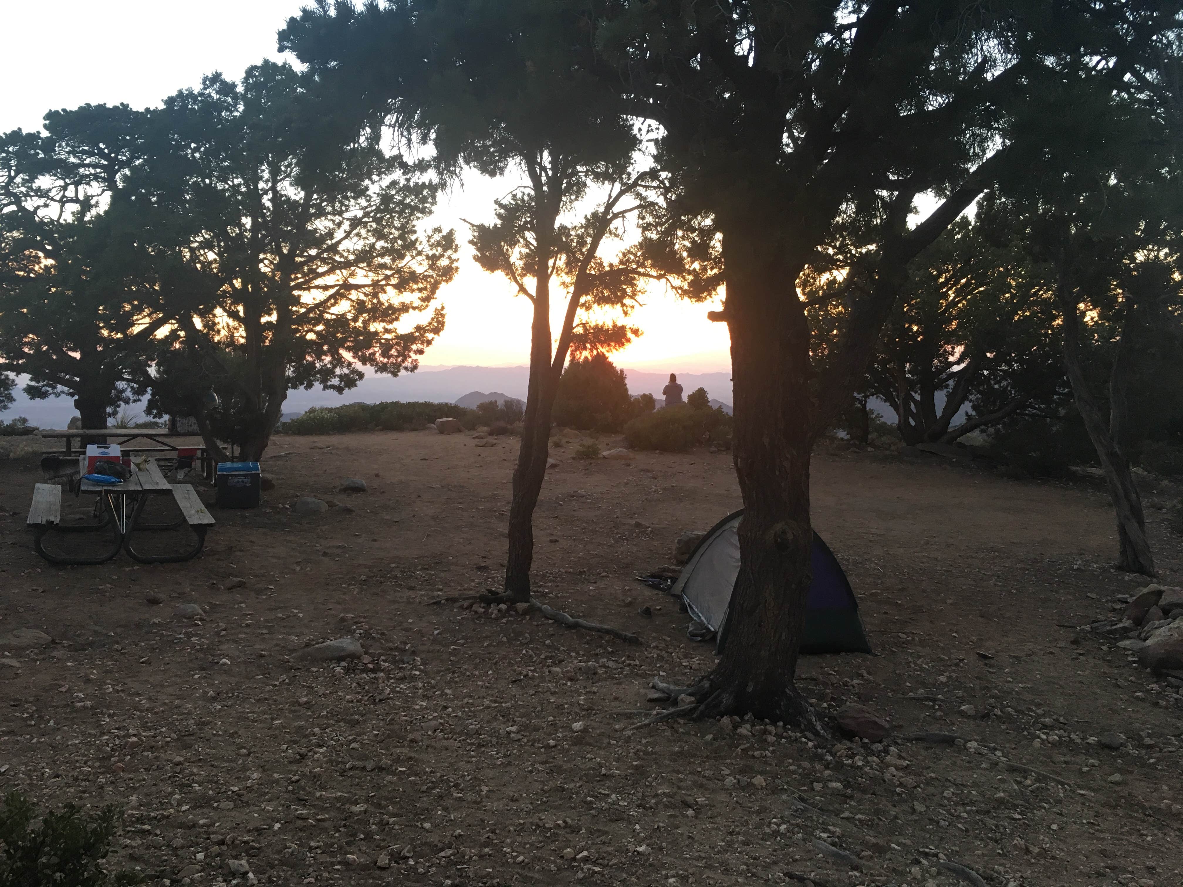 Camper-submitted photo at Windy Point Campground near Dolan Springs, AZ