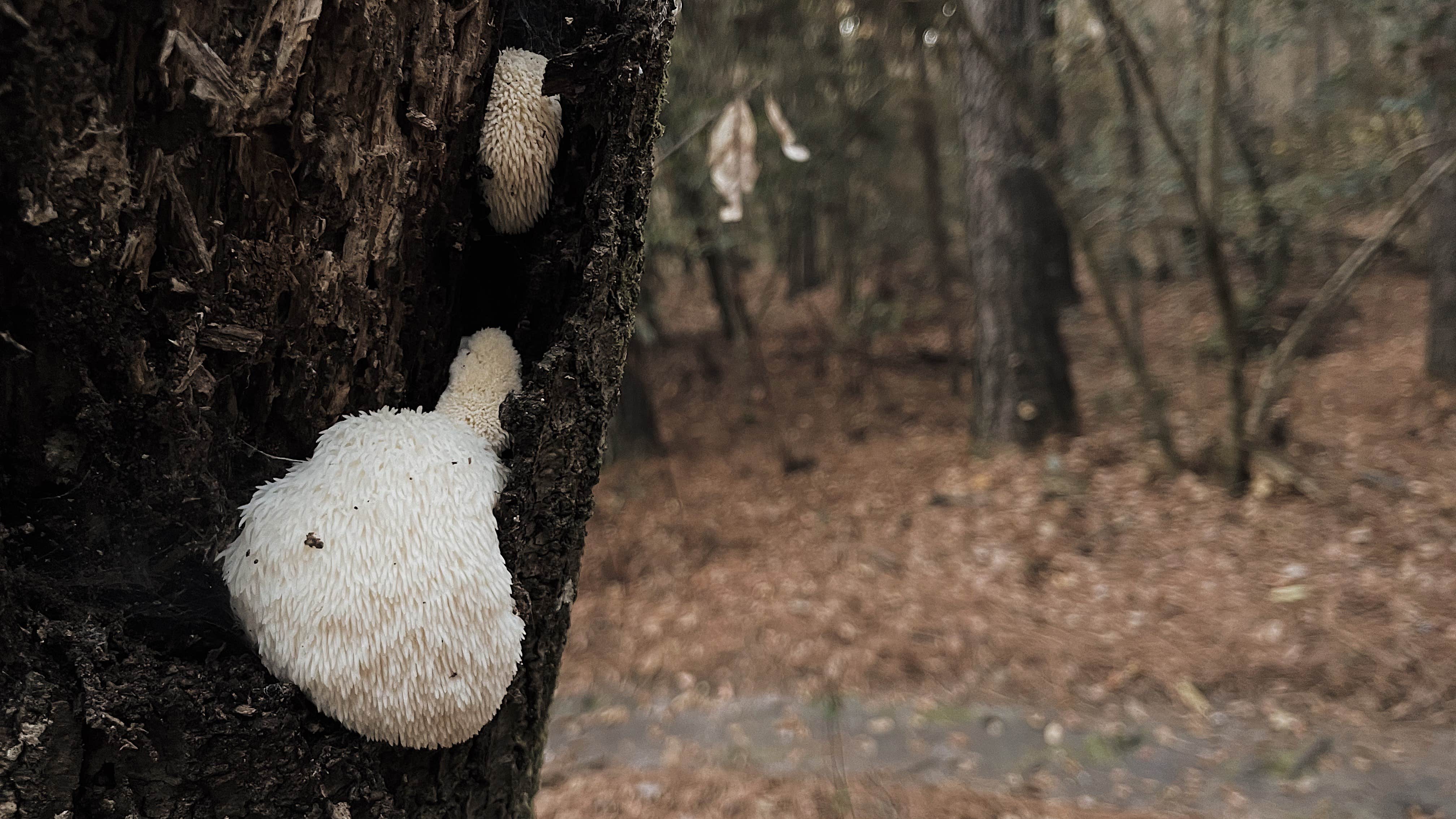 Camper-submitted photo at Colleton State Park Campground near Orangeburg, SC