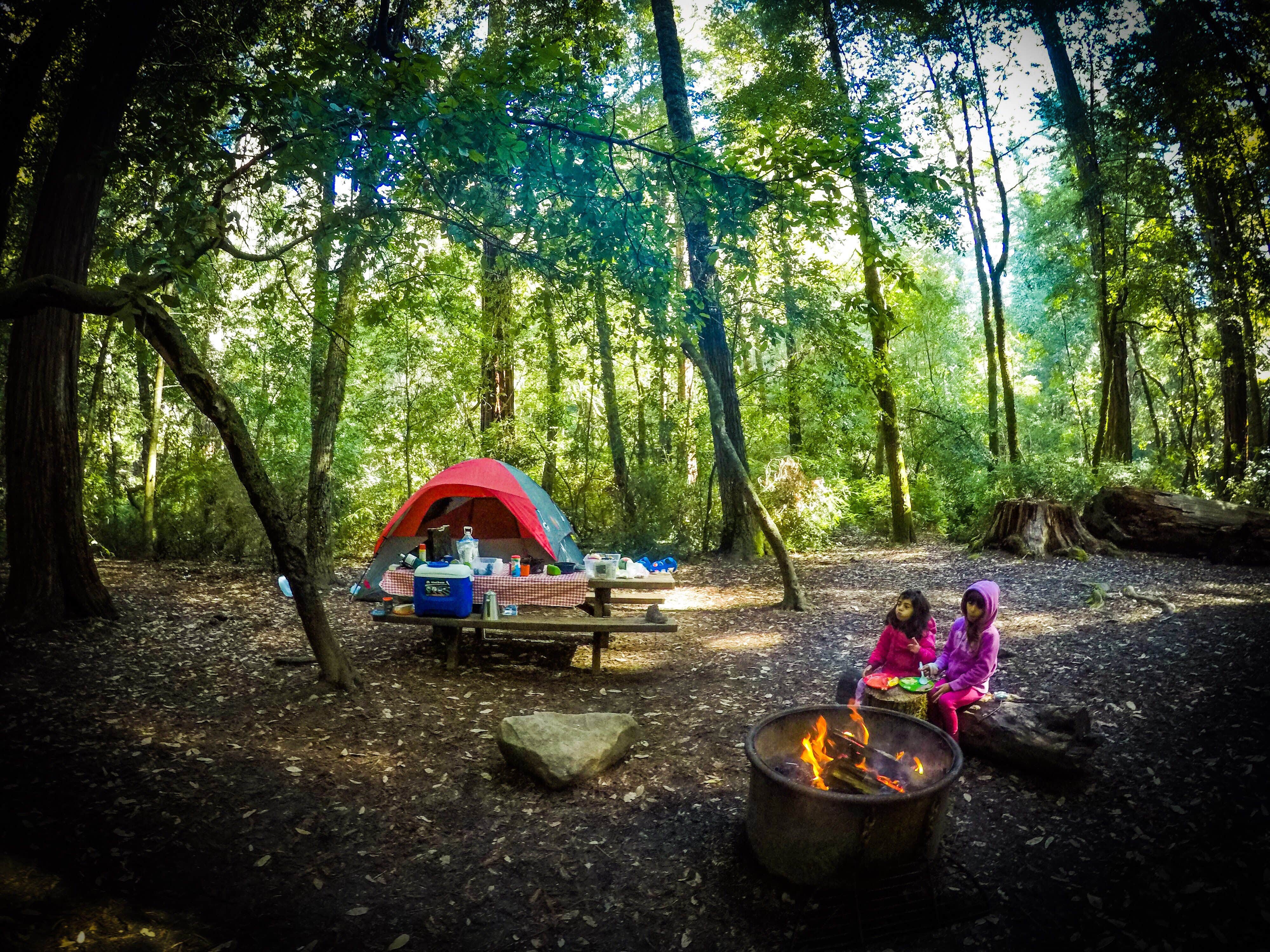 Adventure M.'s photo at Lower Blooms Creek — Big Basin Redwoods State Park — CAMPGROUND CLOSED near Half Moon Bay, CA