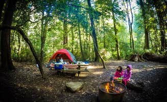 Adventure M.'s photo at Lower Blooms Creek — Big Basin Redwoods State Park — CAMPGROUND CLOSED near Los Altos Hills, CA