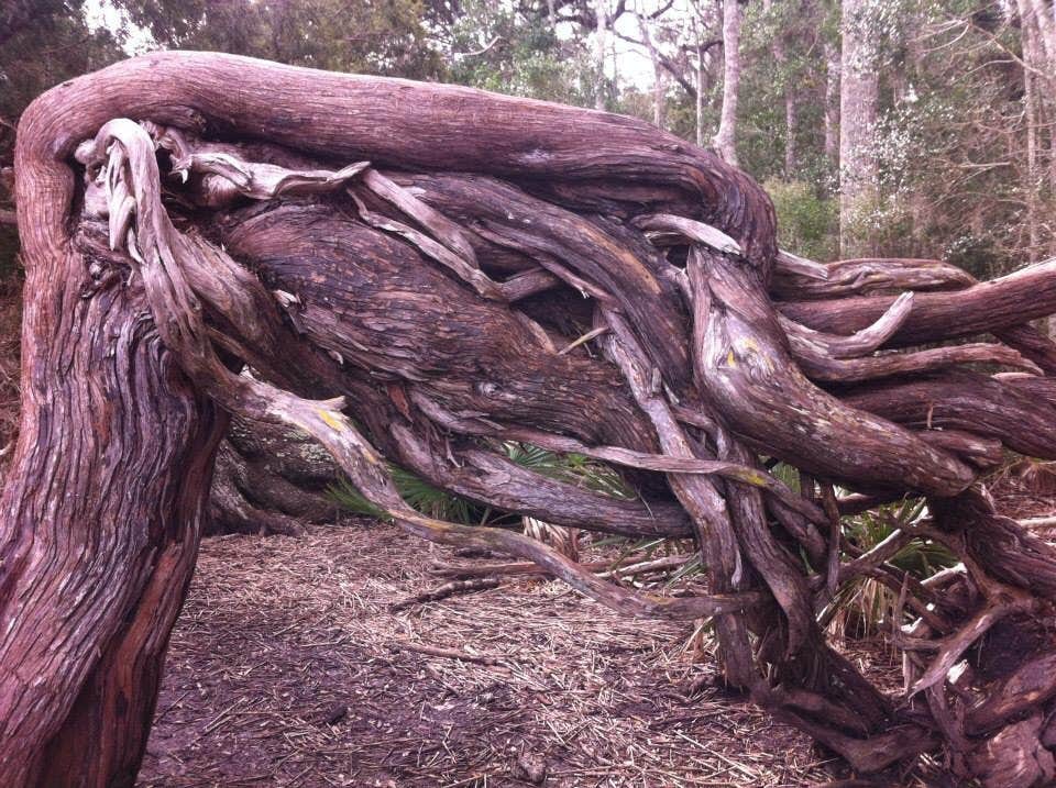 Nature