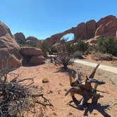 Review photo of Devils Garden Campground — Arches National Park by Tim G., December 9, 2021