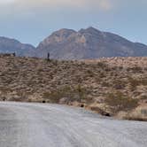 Review photo of Red Rock Canyon National Conservation Area - Red Rock Campground by Tim G., December 10, 2021