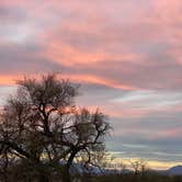 Review photo of Furnace Creek Campground — Death Valley National Park by Tim G., December 10, 2021