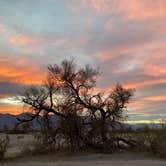 Review photo of Furnace Creek Campground — Death Valley National Park by Tim G., December 10, 2021