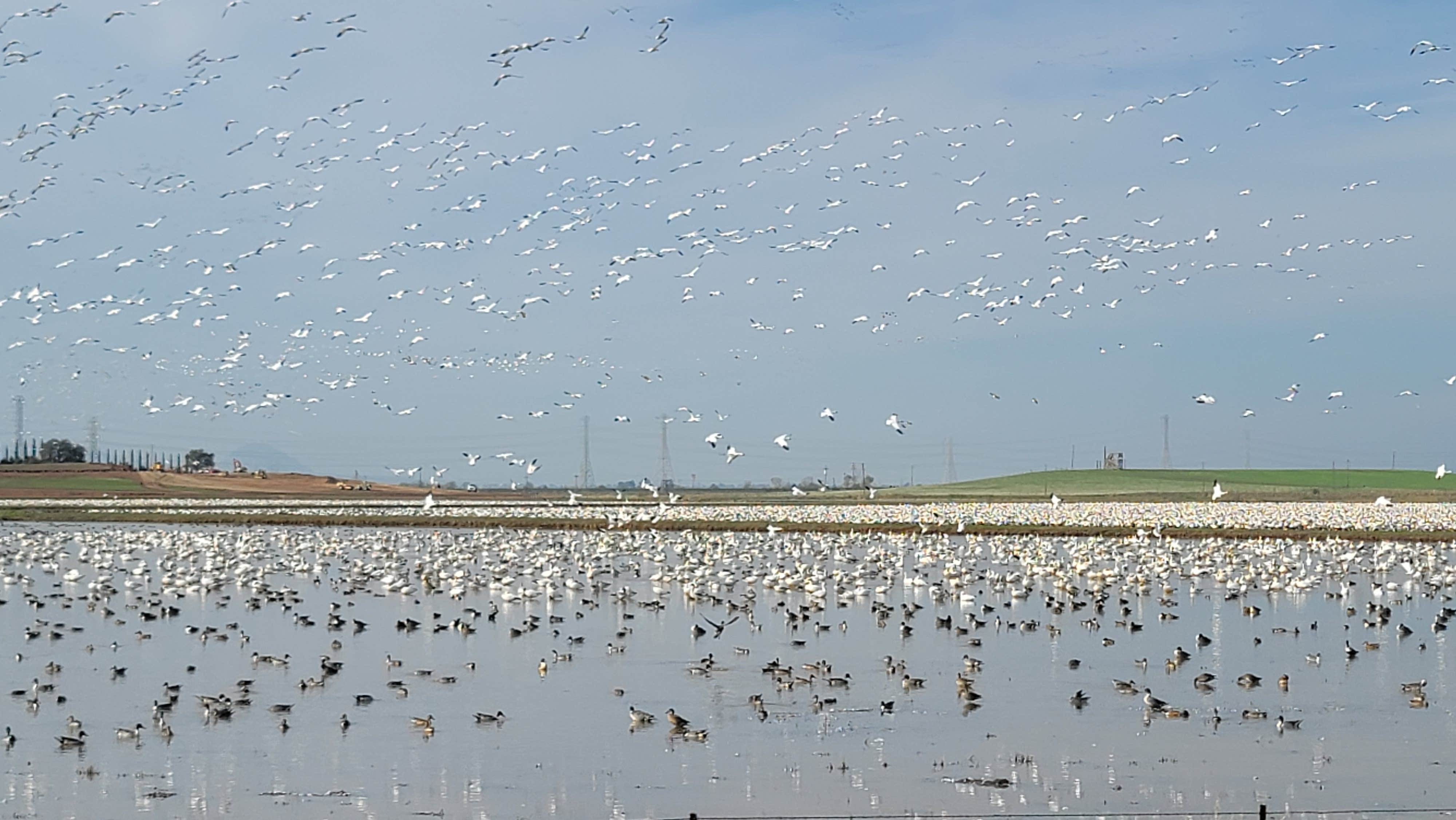 Beale AFB FamCamp Marysville, CA