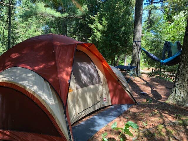 Amanda L.'s photo at Wilderness State Park Camping near Mackinaw City, MI