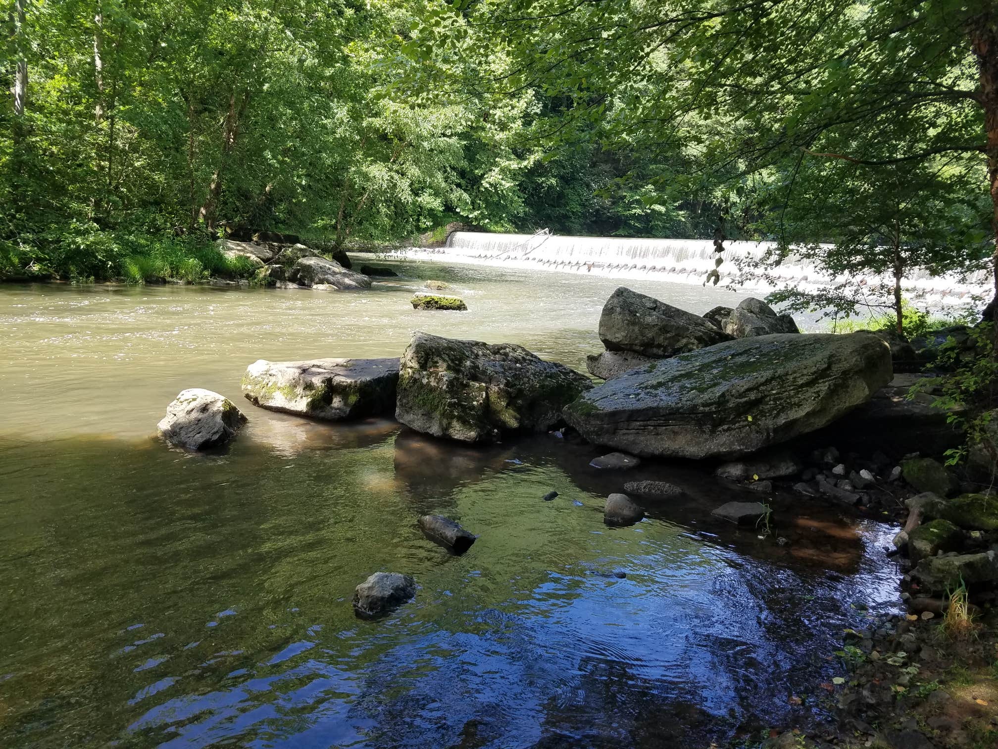 Camper submitted image from Lower Campground — Kettle Creek State Park - 3