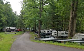 Cheryl W.'s photo of rv camping at Lower Campground — Kettle Creek State Park near Cammal, PA