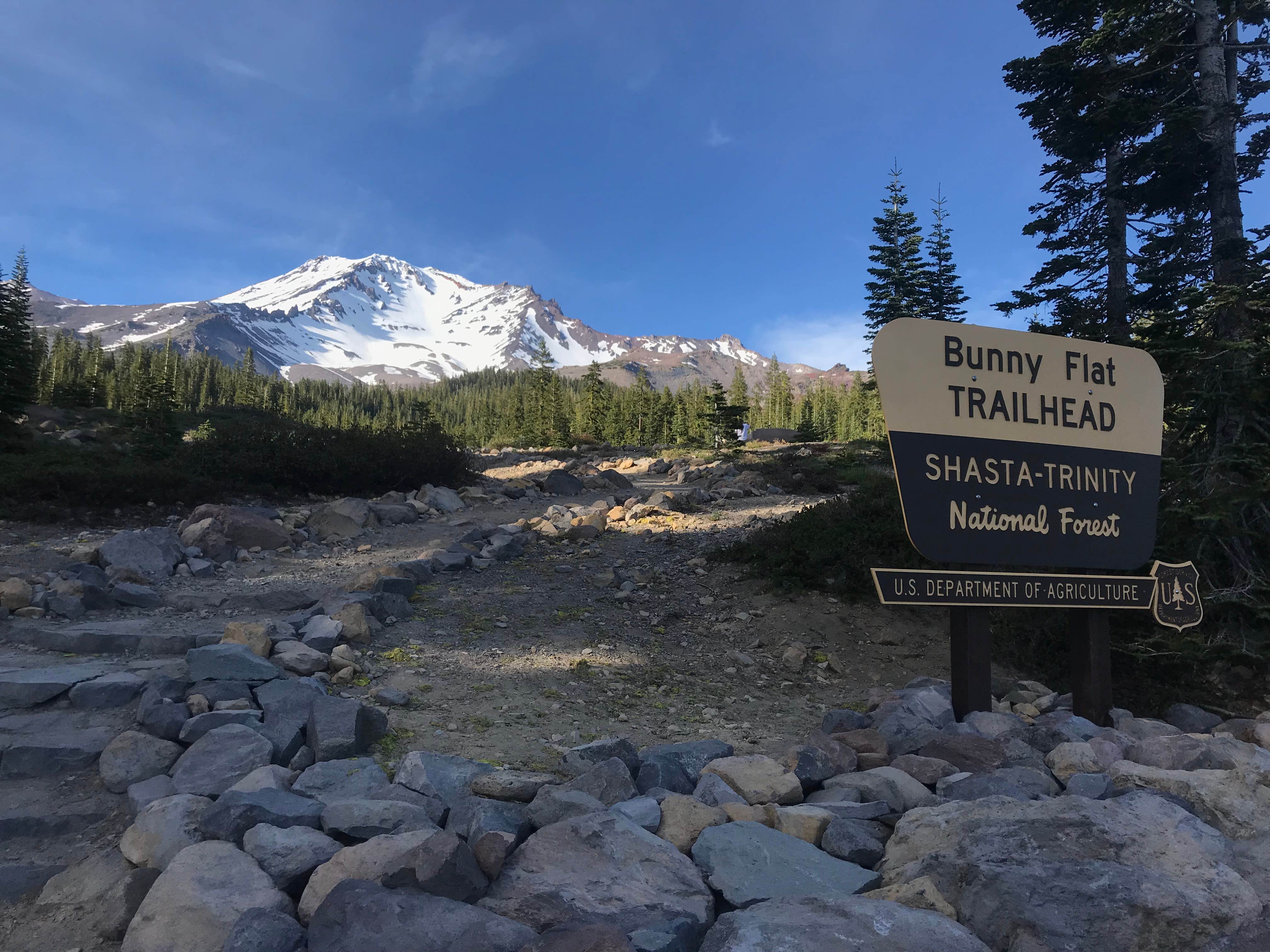 Camper submitted image from Red Fir Flat Group Campground - 5