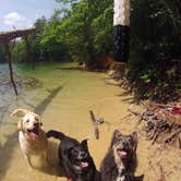 Review photo of Devils Fork State Park Campground by Fain H., July 24, 2016