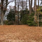 Review photo of Chickahominy Riverfront Park by N I., December 11, 2021