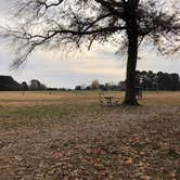 Review photo of Chickahominy Riverfront Park by N I., December 11, 2021